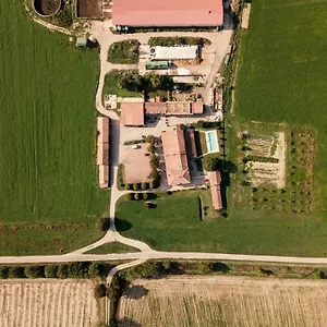 Albero Del Latte Bagnolo San Vito